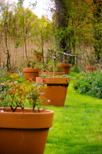 La Sauvagine Terre et Passion®