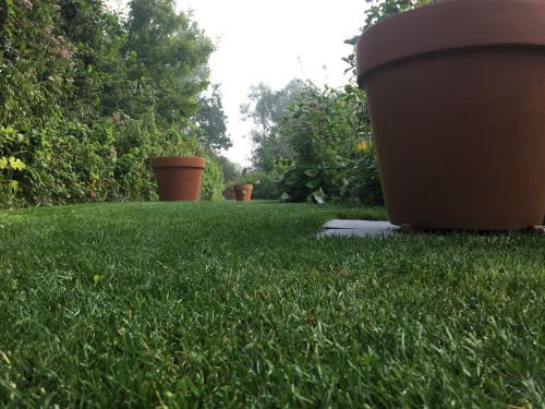 La Sauvagine Terre et Passion®