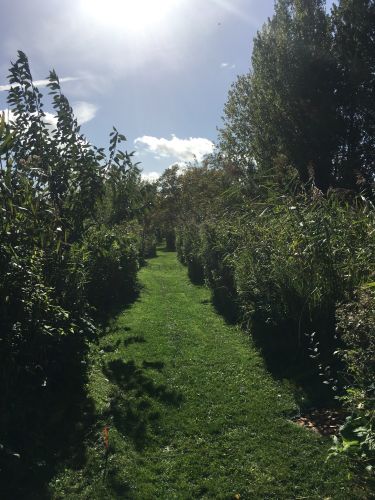 La Sauvagine Terre et Passion®