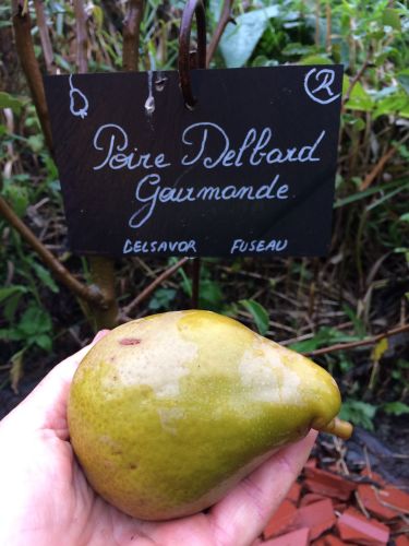 La Sauvagine Terre et Passion®