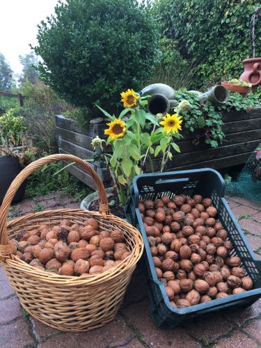 La Sauvagine Terre et Passion®