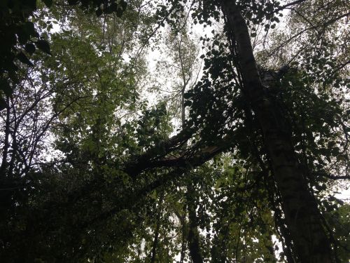 La Sauvagine Terre et Passion®