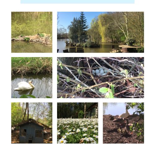 La Sauvagine Terre et Passion®