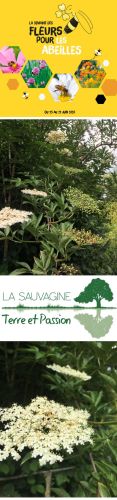 La Sauvagine Terre et Passion®