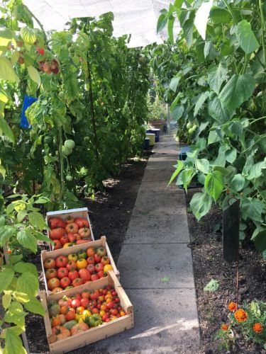 La Sauvagine Terre et Passion®