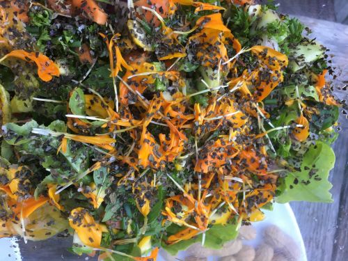 La Sauvagine Terre et Passion®