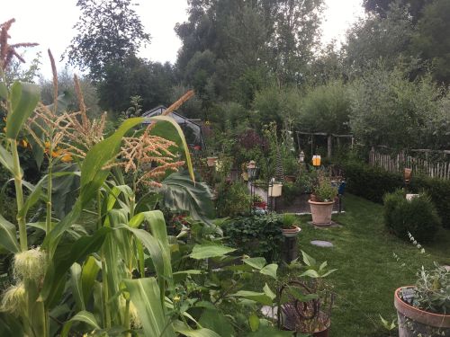 La Sauvagine Terre et Passion®