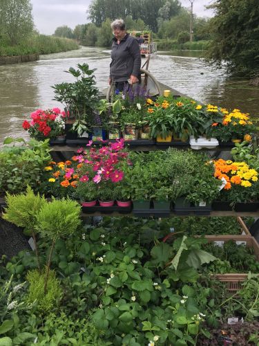 La Sauvagine Terre et Passion®