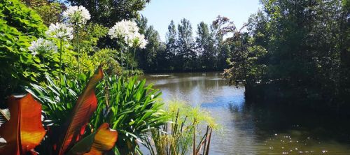 La Sauvagine Terre et Passion®