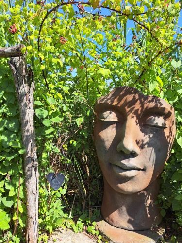 La Sauvagine Terre et Passion®